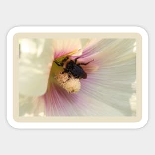 Bee bum Sticker